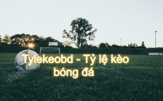 bongdamacao