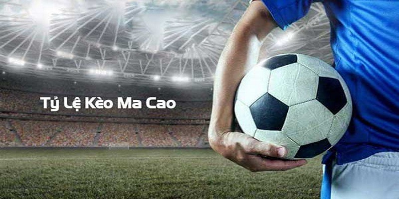 keo-macao-ty-le